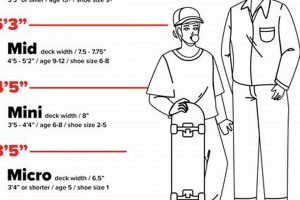Find Your Fit: Skate Board Size Chart & Guide | How to Skateboard: A Beginner's Guide to Your First Board & Tricks