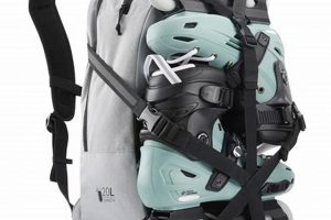 Protect Your Skates: Best Inline Skate Bag for Skaters | How to Skateboard: A Beginner's Guide to Your First Board & Tricks