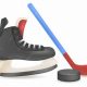 Gear Up for Skate and Stick: Hockey Fun on Ice! | How to Skateboard: A Beginner's Guide to Your First Board & Tricks
