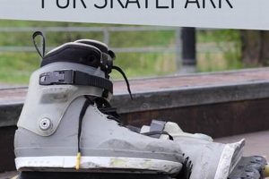 Best Park Inline Skates: Gear & Tricks | How to Skateboard: A Beginner's Guide to Your First Board & Tricks