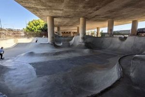 Best Skate Parks in Washington State: Your Guide | How to Skateboard: A Beginner's Guide to Your First Board & Tricks