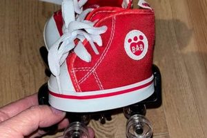 Roll into Fun: Build-A-Bear Roller Skates for Plushies! | How to Skateboard: A Beginner's Guide to Your First Board & Tricks