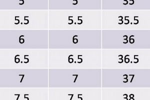 Skates Size vs Shoe Size: The Ultimate Fit Guide | How to Skateboard: A Beginner's Guide to Your First Board & Tricks