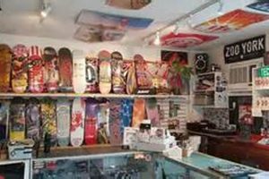 Elevate Your Ride: Technical Skate Shop Gear & More! | How to Skateboard: A Beginner's Guide to Your First Board & Tricks