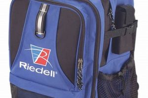 Best Riedell Roller Skate Bag: Protect Your Rolls! | How to Skateboard: A Beginner's Guide to Your First Board & Tricks