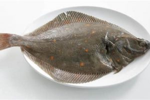 Mobile Food Skate Delivery: Boards & Bites on Wheels! | How to Skateboard: A Beginner's Guide to Your First Board & Tricks