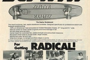 Unleash Speed: Team Zephyr Skate Skills & Gear Guide | How to Skateboard: A Beginner's Guide to Your First Board & Tricks