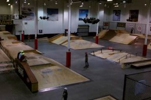 Orlando Skate Store: Gear Up, Skate On! | How to Skateboard: A Beginner's Guide to Your First Board & Tricks