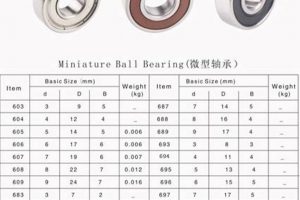 The Key Skate Bearing Size: Dimensions & Your Ride | How to Skateboard: A Beginner's Guide to Your First Board & Tricks