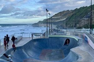 Bowl Skate Tricks: Elevate Your Skate a Bowl Game! | How to Skateboard: A Beginner's Guide to Your First Board & Tricks