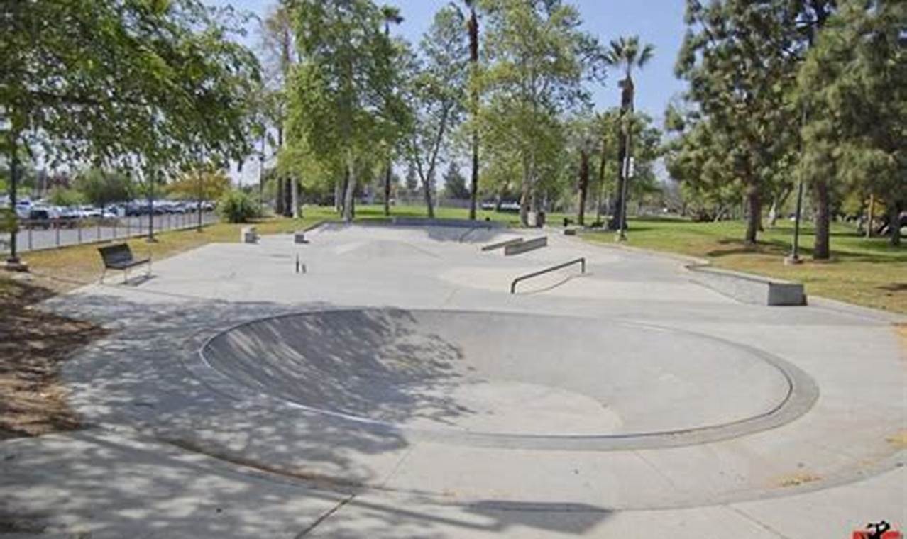 Explore Claremont Skate Park: Your Local Skate Spot! How to Skateboard: A Beginner's Guide to Your First Board & Tricks Explore Claremont Skate Park: Your Local Skate Spot! | How to Skateboard: A Beginner's Guide to Your First Board & Tricks