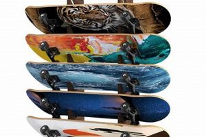 Protect Your Skates: Best Skate Holder Options for Skaters | How to Skateboard: A Beginner's Guide to Your First Board & Tricks