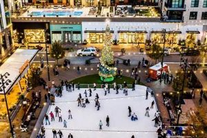 Discover Skate the Square Fun at Fenton Cary! How to Skateboard: A Beginner's Guide to Your First Board & Tricks Discover Skate the Square Fun at Fenton Cary! | How to Skateboard: A Beginner's Guide to Your First Board & Tricks