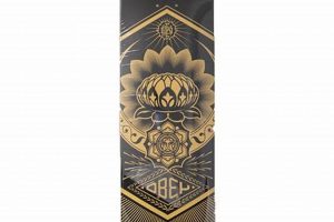 Shop Iconic Obey Skate Decks: Art & Style | How to Skateboard: A Beginner's Guide to Your First Board & Tricks