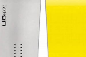 Best Lib Tech Banana Skate for Park & Street | How to Skateboard: A Beginner's Guide to Your First Board & Tricks