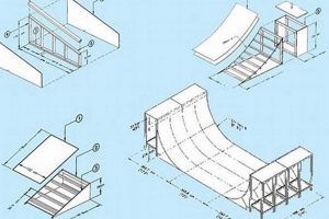DIY Skate Ramp Design: Plans & Ideas for Skaters | How to Skateboard: A Beginner's Guide to Your First Board & Tricks