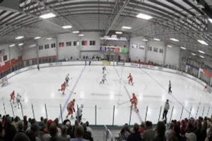 Ice Skating Fun: Howe Ice Arena Open Skate Times & More! How to Skateboard: A Beginner's Guide to Your First Board & Tricks Ice Skating Fun: Howe Ice Arena Open Skate Times & More! | How to Skateboard: A Beginner's Guide to Your First Board & Tricks