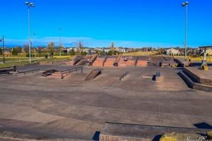 Your Guide to Erie Community Street League Skate Park Fun How to Skateboard: A Beginner's Guide to Your First Board & Tricks Your Guide to Erie Community Street League Skate Park Fun | How to Skateboard: A Beginner's Guide to Your First Board & Tricks
