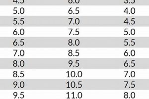 Ice Skate Size Guide: Shoe Size vs. Fit Tips How to Skateboard: A Beginner's Guide to Your First Board & Tricks Ice Skate Size Guide: Shoe Size vs. Fit Tips | How to Skateboard: A Beginner's Guide to Your First Board & Tricks