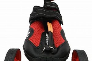 Are Rollerskates for Dogs Safe? The Wheeled Paws Guide! How to Skateboard: A Beginner's Guide to Your First Board & Tricks Are Rollerskates for Dogs Safe? The Wheeled Paws Guide! | How to Skateboard: A Beginner's Guide to Your First Board & Tricks