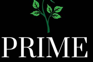 Achieve Prime Skate Status: Skills & Gear How to Skateboard: A Beginner's Guide to Your First Board & Tricks Achieve Prime Skate Status: Skills & Gear | How to Skateboard: A Beginner's Guide to Your First Board & Tricks