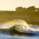 Surf & Skate HD Wallpaper: Santa Cruz, California [Free] | How to Skateboard: A Beginner's Guide to Your First Board & Tricks