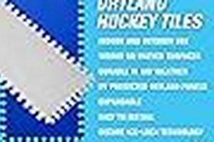 Unlock Your Skate Anytime Dreams: Rinks &amp; Tips! | How to Skateboard: A Beginner's Guide to Your First Board & Tricks