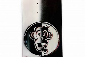 Beyond Skateboarding: The Killer Skate Guide & Tips | How to Skateboard: A Beginner's Guide to Your First Board & Tricks