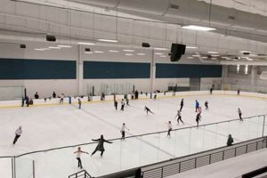South Suburban Sports Complex Public Skate: Fun on Ice! How to Skateboard: A Beginner's Guide to Your First Board & Tricks South Suburban Sports Complex Public Skate: Fun on Ice! | How to Skateboard: A Beginner's Guide to Your First Board & Tricks