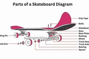 Essential Skate Board Parts: Your Complete Guide How to Skateboard: A Beginner's Guide to Your First Board & Tricks Essential Skate Board Parts: Your Complete Guide | How to Skateboard: A Beginner's Guide to Your First Board & Tricks