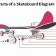 Essential Skate Board Parts: Your Complete Guide | How to Skateboard: A Beginner's Guide to Your First Board & Tricks