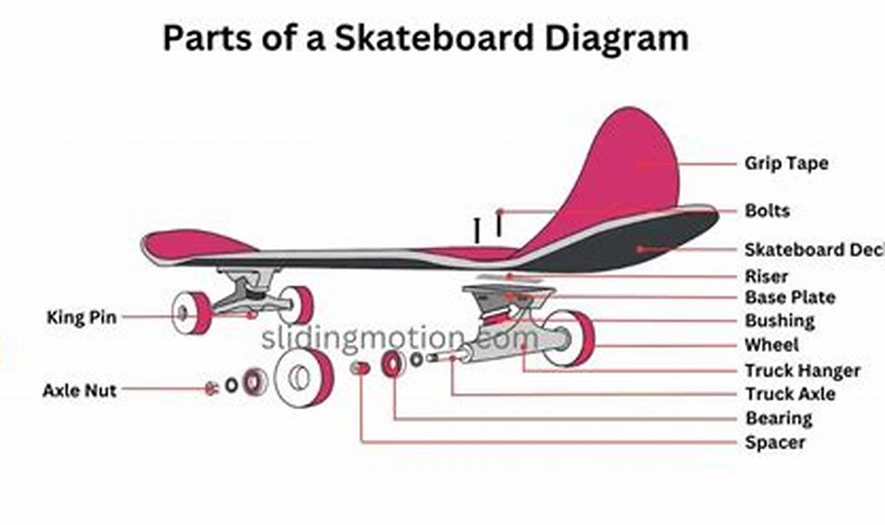 Essential Skate Board Parts: Your Complete Guide How to Skateboard: A Beginner's Guide to Your First Board & Tricks Essential Skate Board Parts: Your Complete Guide | How to Skateboard: A Beginner's Guide to Your First Board & Tricks
