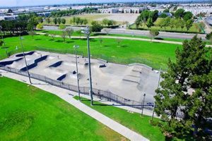 Unleash Your Skills at Ayala Skate Park: A Thrilling Guide How to Skateboard: A Beginner's Guide to Your First Board & Tricks Unleash Your Skills at Ayala Skate Park: A Thrilling Guide | How to Skateboard: A Beginner's Guide to Your First Board & Tricks