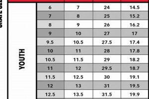CCM Skate Size Guide: Find Your Perfect Fit Now! How to Skateboard: A Beginner's Guide to Your First Board & Tricks CCM Skate Size Guide: Find Your Perfect Fit Now! | How to Skateboard: A Beginner's Guide to Your First Board & Tricks