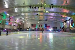 Glide & Groove: Ice Arena Open Skate Fun! | How to Skateboard: A Beginner's Guide to Your First Board & Tricks