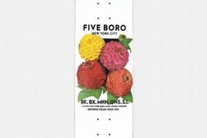 NYC's 5boro Skate Scene: Gear, Culture & More! How to Skateboard: A Beginner's Guide to Your First Board & Tricks NYC's 5boro Skate Scene: Gear, Culture & More! | How to Skateboard: A Beginner's Guide to Your First Board & Tricks