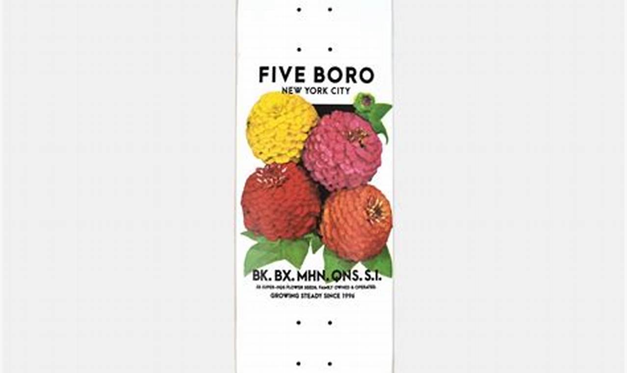 NYC's 5boro Skate Scene: Gear, Culture & More! How to Skateboard: A Beginner's Guide to Your First Board & Tricks NYC's 5boro Skate Scene: Gear, Culture & More! | How to Skateboard: A Beginner's Guide to Your First Board & Tricks