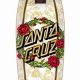 Ride the Cruz: Longboard Skate Santa Cruz Style | How to Skateboard: A Beginner's Guide to Your First Board & Tricks