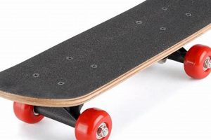 Best Small Skate Board: Mini Skater's Guide + Reviews | How to Skateboard: A Beginner's Guide to Your First Board & Tricks
