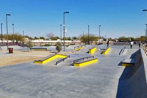 Your Guide to Festival Fields Skate Park Fun & Skills! | How to Skateboard: A Beginner's Guide to Your First Board & Tricks
