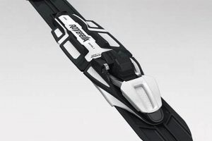 Best Skate Ski Bindings: Gear & Performance Tips How to Skateboard: A Beginner's Guide to Your First Board & Tricks Best Skate Ski Bindings: Gear & Performance Tips | How to Skateboard: A Beginner's Guide to Your First Board & Tricks