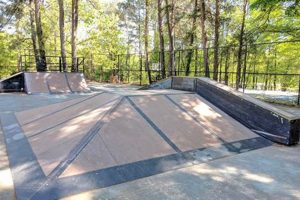 Why Decatur Skate Scene Rocks: Parks & Culture! How to Skateboard: A Beginner's Guide to Your First Board & Tricks Why Decatur Skate Scene Rocks: Parks & Culture! | How to Skateboard: A Beginner's Guide to Your First Board & Tricks