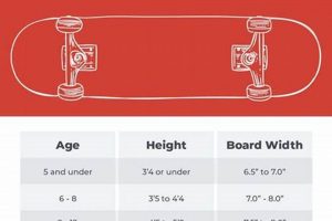 Mastering Skate Hardware Size: Your Perfect Setup Guide | How to Skateboard: A Beginner's Guide to Your First Board & Tricks