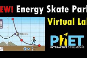 Explore PhET Skate Park Simulation: Energy & Motion! | How to Skateboard: A Beginner's Guide to Your First Board & Tricks