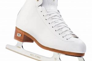 Reidel Skates: Your Best Skate Experience! How to Skateboard: A Beginner's Guide to Your First Board & Tricks Reidel Skates: Your Best Skate Experience! | How to Skateboard: A Beginner's Guide to Your First Board & Tricks