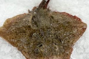 Stop Skate Cheeks: Skater's Guide to Pant Coverage How to Skateboard: A Beginner's Guide to Your First Board & Tricks Stop Skate Cheeks: Skater's Guide to Pant Coverage | How to Skateboard: A Beginner's Guide to Your First Board & Tricks