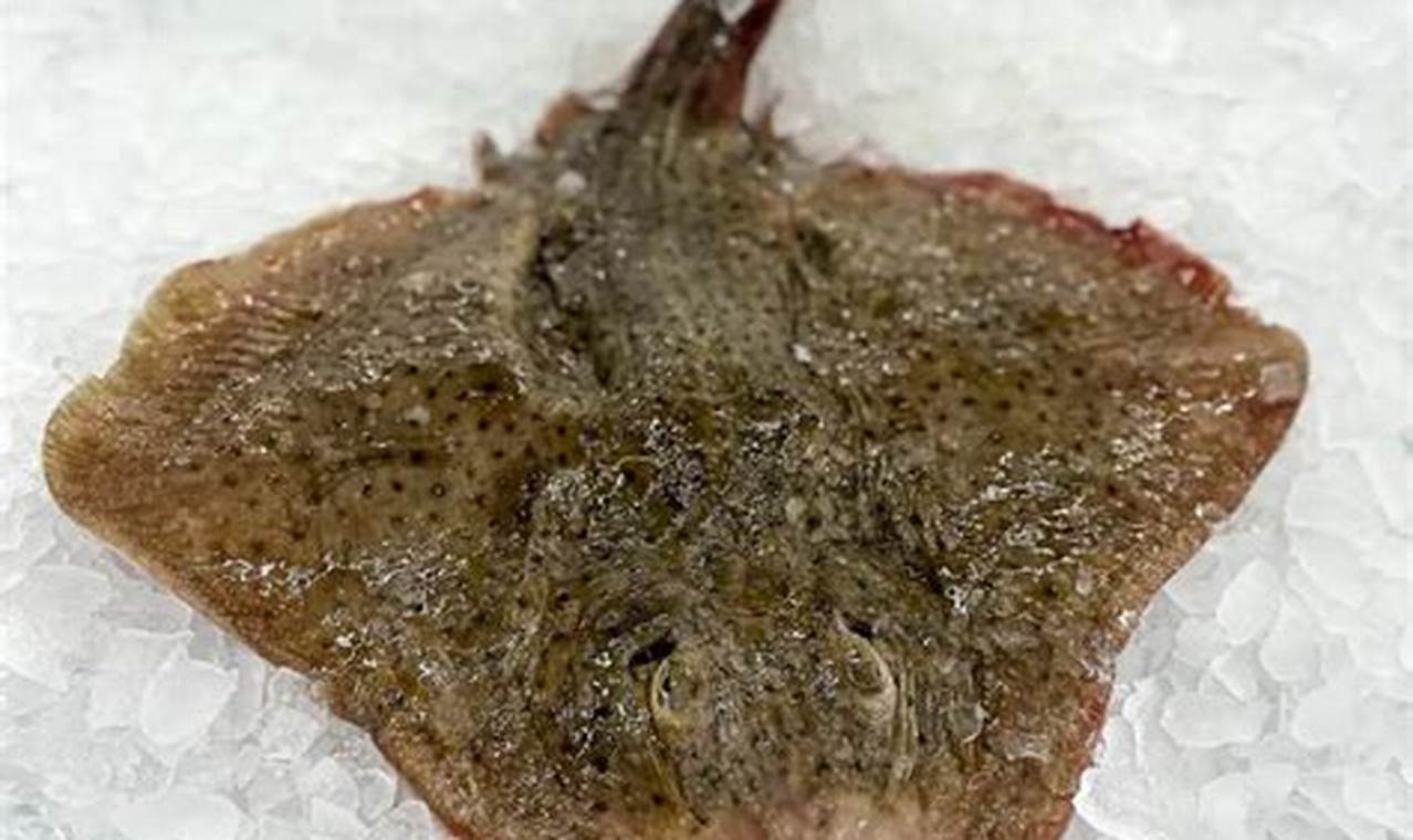 Stop Skate Cheeks: Skater's Guide to Pant Coverage How to Skateboard: A Beginner's Guide to Your First Board & Tricks Stop Skate Cheeks: Skater's Guide to Pant Coverage | How to Skateboard: A Beginner's Guide to Your First Board & Tricks