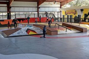 Best Brighton Skate Park Spots + Tips: Ride On! How to Skateboard: A Beginner's Guide to Your First Board & Tricks Best Brighton Skate Park Spots + Tips: Ride On! | How to Skateboard: A Beginner's Guide to Your First Board & Tricks