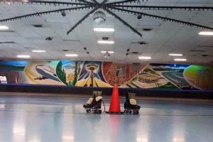 Bellevue Skate King: Roll Into Fun | Skate Pros | How to Skateboard: A Beginner's Guide to Your First Board & Tricks