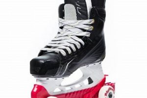 Best Skate Protector with Wheels: Safe Skating Gear! | How to Skateboard: A Beginner's Guide to Your First Board & Tricks